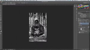 Monkey photoshop speed retouch