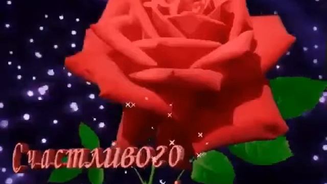 1 декабря 2019 г. смотреть онлайн