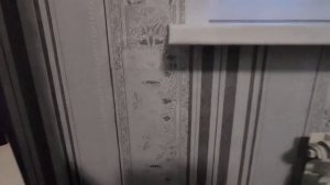 Локальный ремонт обоев.