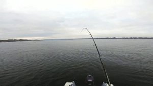 Судак на Волге / Ловля на спиннинг/ Ловля в отвес на вибы/ На что ловить судака перед ледоставом!?