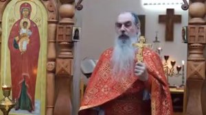 Сколько ангелов у православного человека. Схиигумен Гавриил (о.Ефрем Виноградов (Игумен N))