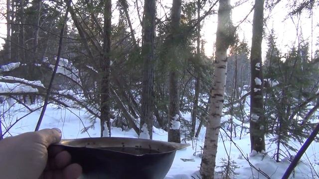 Ольха против простуды и Польза дерева Ольхи для Рыбаков Охотников и Выживания Сибирь Тайга Лес смотреть онлайн