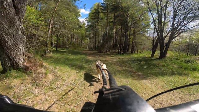 ЧИП Владимирской области, Ксюша и Хьюстон, часть 2 смотреть онлайн