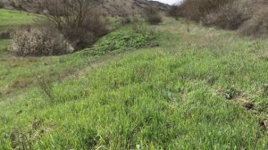 КОП МЕТАЛЛА НА ЗАБРОШЕННОЙ ФЕРМЕ! ПОИСК МЕТАЛЛА С МЕТАЛЛОИСКАТЕЛЕМ!