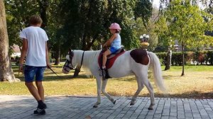 Horse Rides. Taras Shevchenko Park. Kiev. Ukraine. 2015-09-02