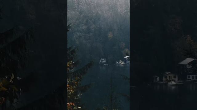 @throughthepnw=a72501.mp4