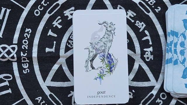 Winterseer Animal Oracle Walk-through смотреть онлайн