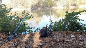 Горячий ключ - рыбалка на озере! осень 2021 г!!! Кролик съел всю наживку!