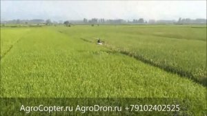 AgroDron Ru АгроДрон беспилотный вертолет в опрыскивании