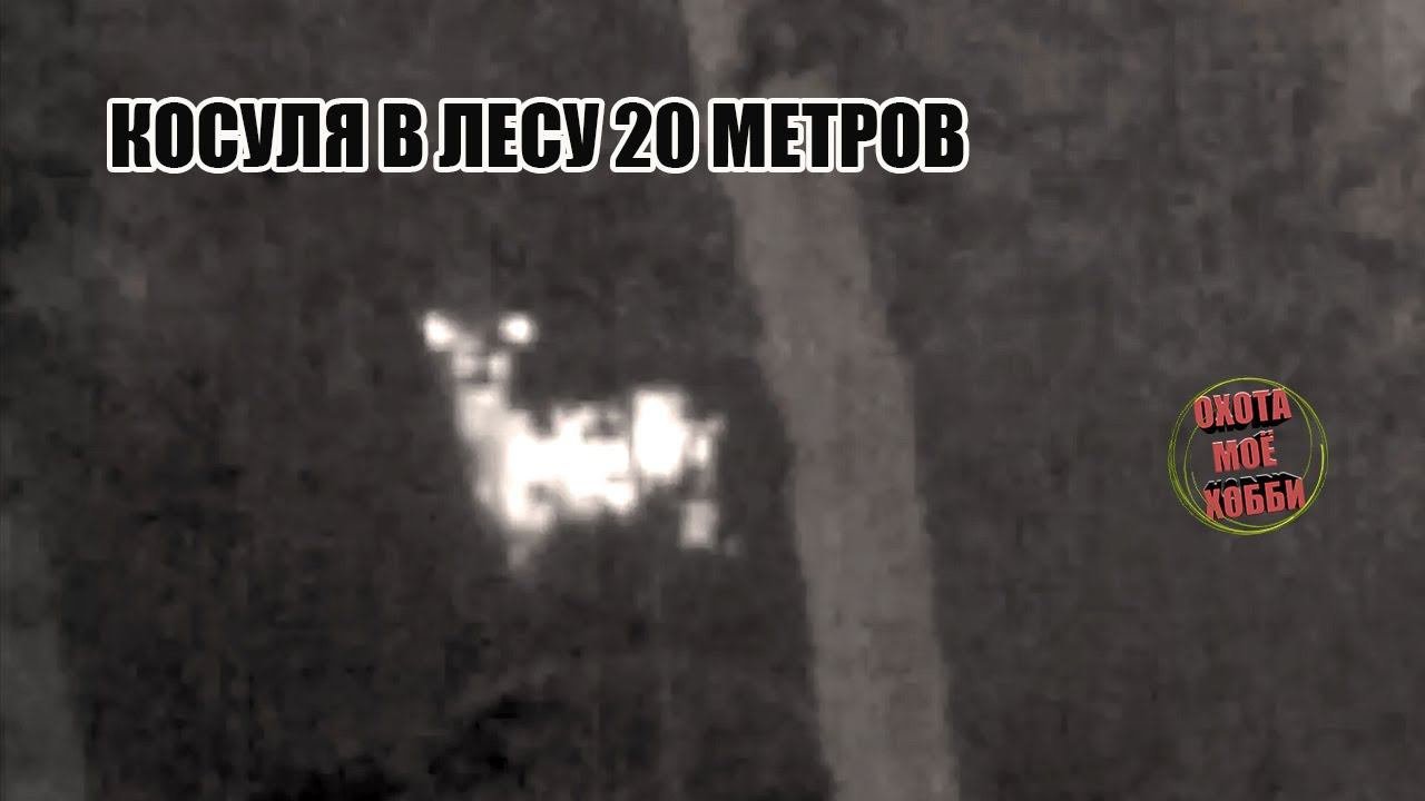 PULSAR AXION XM30S ОБЗОР И ТЕСТ В ПОЛЯХ смотреть онлайн