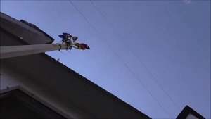 008.?Смайлик Шмель. Отпугиваем голубей с балкона.