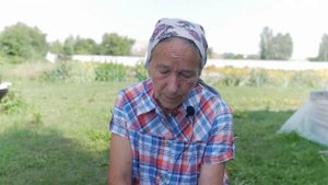 Почему не цветет клубника. Причины отсутствия урожая на землянике садовой.