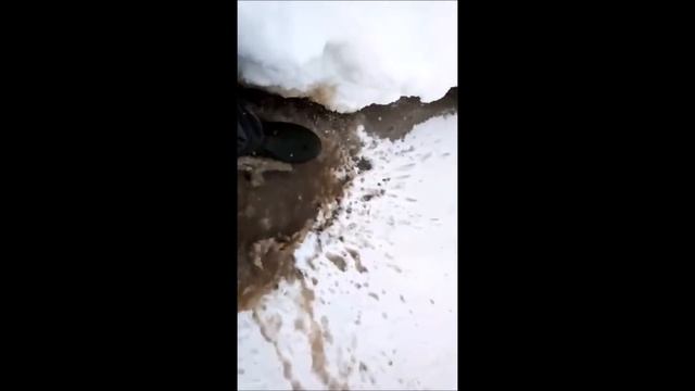 Замор на Оби в Сургуте смотреть онлайн