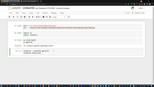 How to download images with Python Step by Step tutorial for beginners