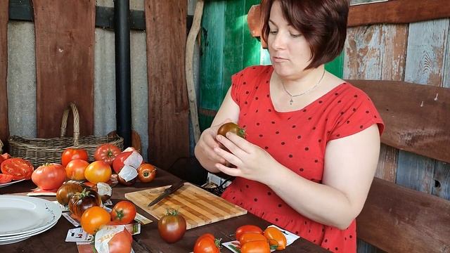 ДЕГУСТАЦИЯ коллекционных томатов 2021:минусинцы, биколоры, антоциановые,  коричневые, желтые и белы