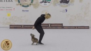 Танцы с собаками: Ильина Полина и такса стандартная гладкошерстная Така. «Миссия выполнима».