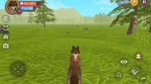 Обзор игры WildCraft. Игра про животных. Жизнь зверей онлайн