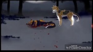 Коты воители песня всегда права буду я.