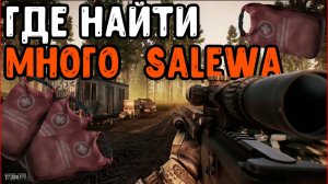 Квест Дефицит 2025 Гайд Escape from Tarkov  Карта Лес Квест Терапевт тарков