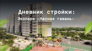 Дневник стройки Экопарк Лесная гавань. Июнь 2024