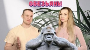 Животный мир. Человекообразные обезьяны.