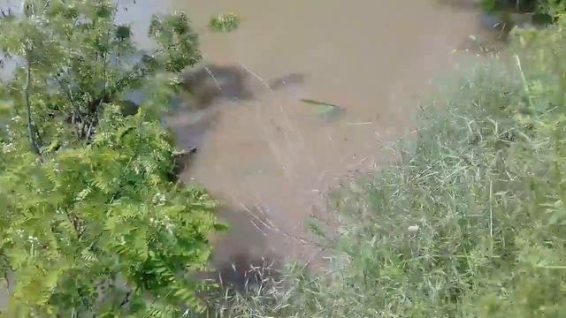 Зеленокумск.карамык 27.05.2017 смотреть онлайн