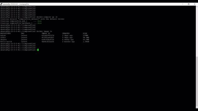 Avvio/Stop Container con Docker Compose смотреть онлайн