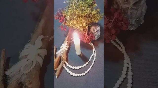 Ежедневная Медитация. Наши Обиды.?