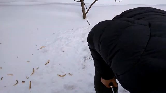 экспресс тест ножа из р18 смотреть онлайн