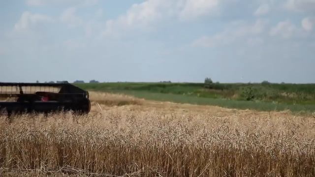 Первый в мире ГАЗОМОТОРНЫЙ комбайн «ПАЛЕССЕ GS4118K» Гомсельмаш