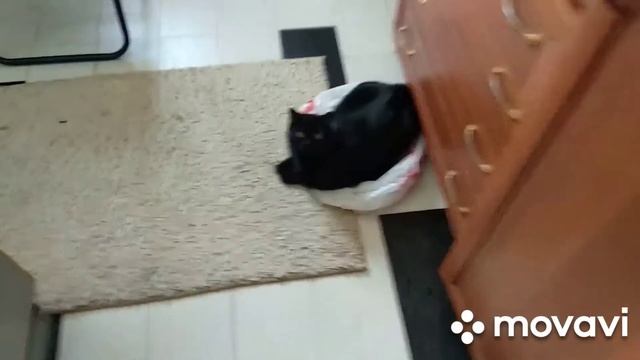 заказали велосипед с Детского мира , а там брак смотреть онлайн