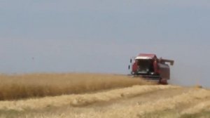 Комбайн Полесье Гомсельмаш  кзс 10к