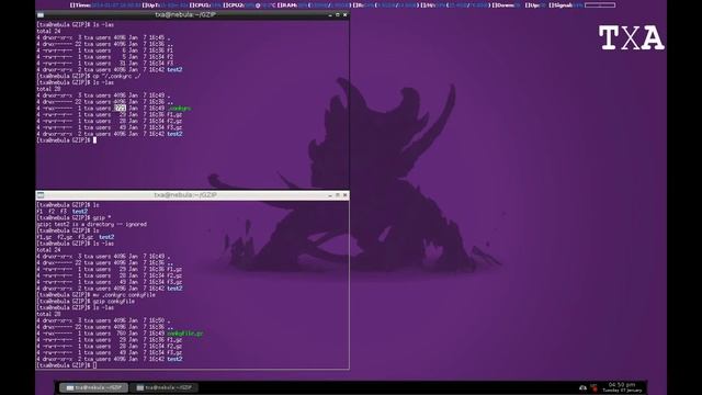 Tutorial: How to compress and decompress files by gzip on linux смотреть онлайн