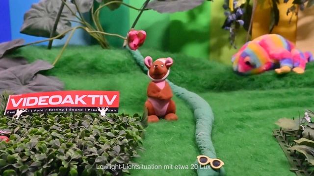 Testvideo: Nikon D780 смотреть онлайн