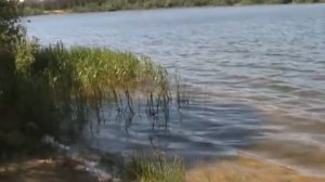 Невский на природе ( 2 вариант )