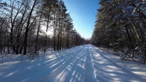 [4K] Дорога в Чибирлей через зимний лес, Кузнецкий район (7.01.2023)