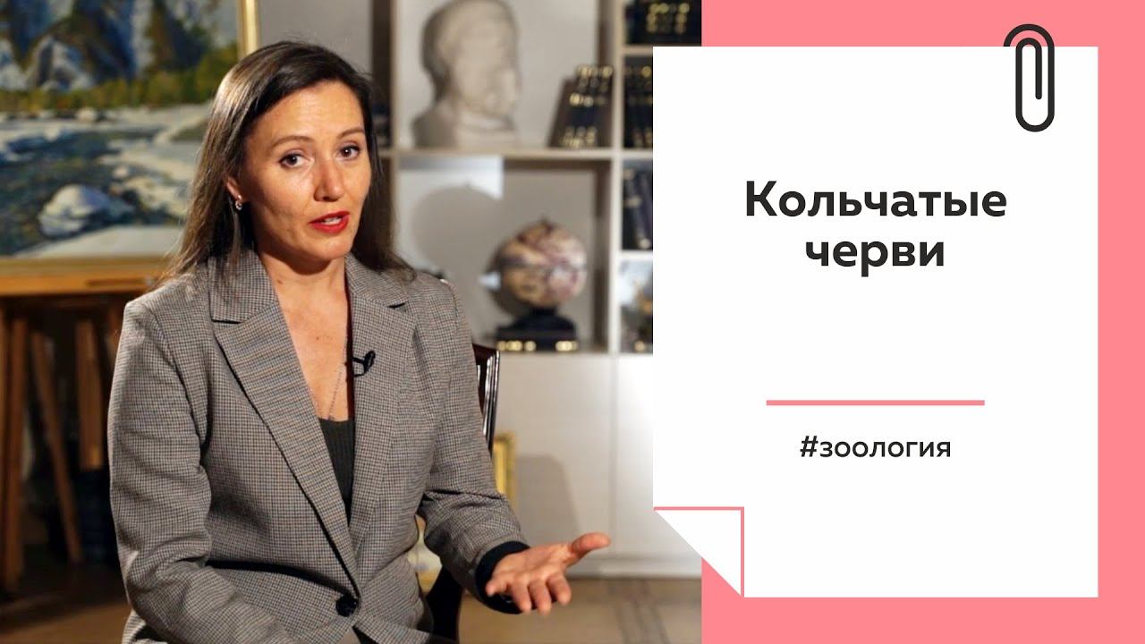 Лекции на ТОЛКе. Кольчатые черви