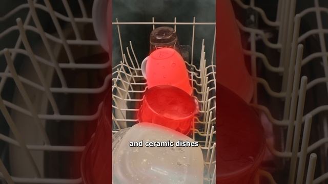 Why Plastic Doesn't Dry In The Dishwasher ?