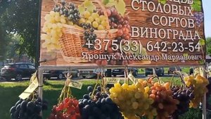 Выставка - ярмарка "Янтарная гроздь винограда - 2021" город Пинск