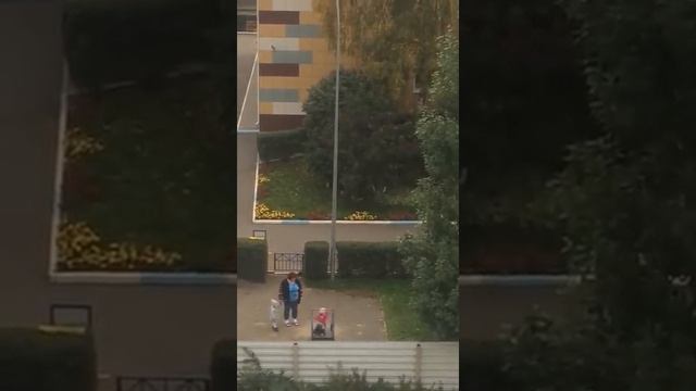 Омск, дет. Сад 187 смотреть онлайн