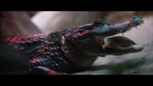 Океанариум, Воронеж.