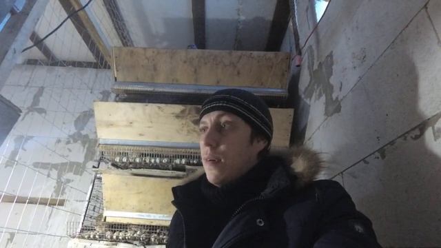 Первое впечатление от Тепловой Пушки в курятнике