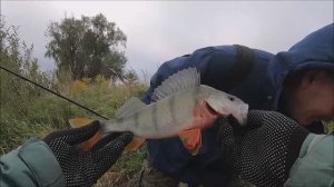 Окунь и щука на джиг.