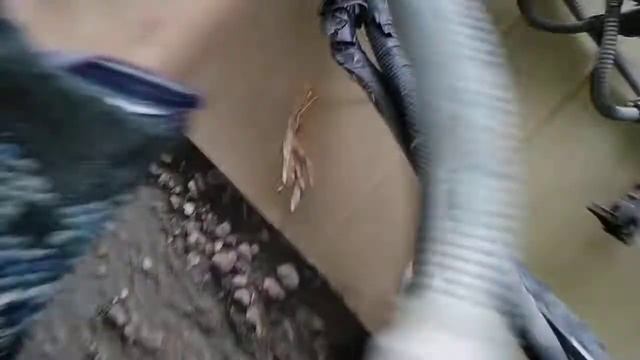 Коса Hyundai Accent 39169-22050 реле смотреть онлайн