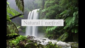 Лексика по модулю №9 по УМК Spotlight, 7 класс