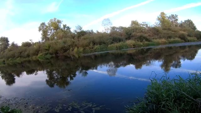 Хороший клев плотвы в сентябре. осенняя рыбалка на поплавок.