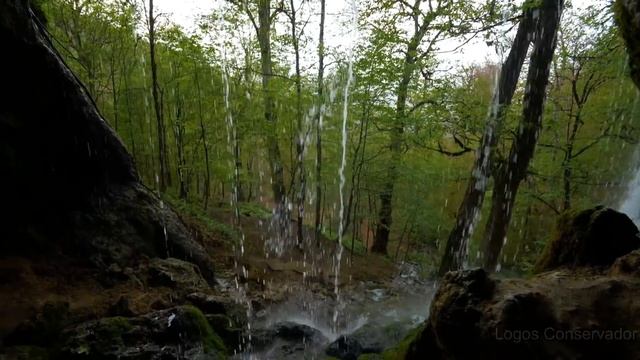 Imagens Incríveis da Natureza (4k) смотреть онлайн