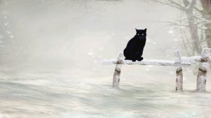 Черный кот. Песня о черном коте.