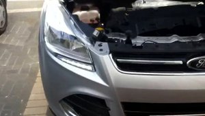 ford kuga 2013 установка led