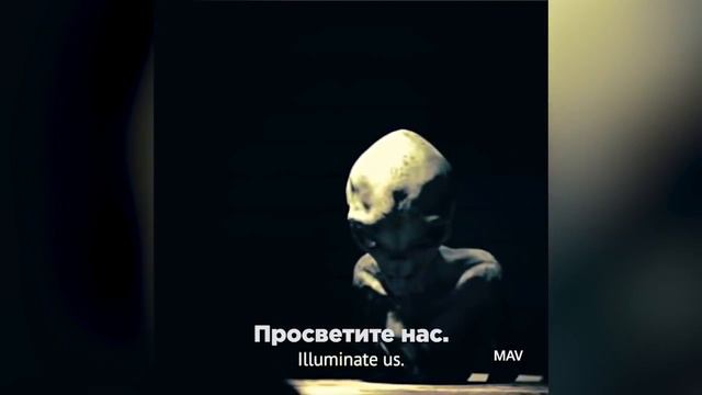 Допрос Пришельца Из Будущего.